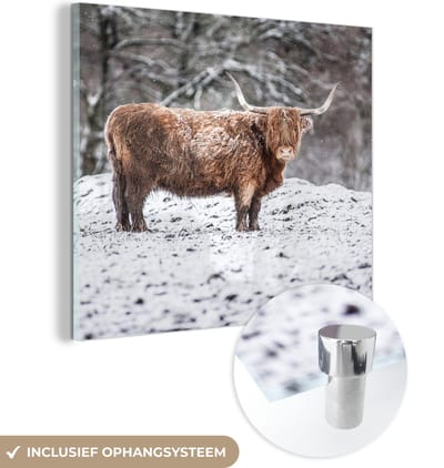MuchoWow® Glasschilderij 50x50 cm - Schilderij acrylglas - Schotse Hooglander - Boom - Sneeuw - Foto op glas - Schilderijen