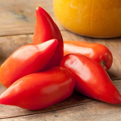 BIO tomaten zaden - Pruimtomaat Andine Cornue