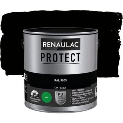 Renaulac Houtlak Protect - Mat - Gitzwart Ral 9005 - 2,5l