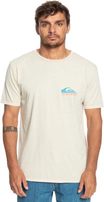 Quiksilver Pastime Paradise Heren T-shirt Eqyzt07252-wdw0 - Kleur Wit - Maat S