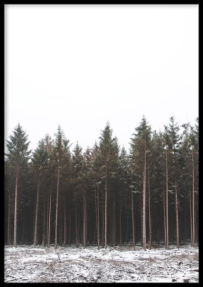 Poster Bos  - 30x40cm met Fotolijst – Natuur Poster – Ingelijst