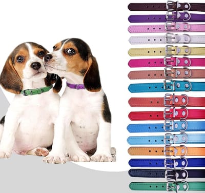 Set van 12 of 16 verstelbare leren ID-halsbanden voor puppy's en honden, geschikt voor nekomvang van 15,2 tot 45,7 cm, ideaal voor training en identificatie