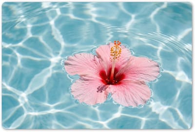Placemats 45x30 cm - Placemat kunststof - 1 stuk - Hibiscus - Water - Roze - Borden onderleggers - Decoratie voor op tafel - Keuken tafeldecoratie accessoires - Vinyl onderlegger - Tafelversiering