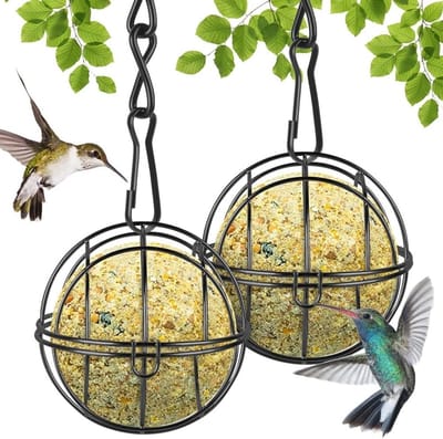 Voederbak voor Vogels, Hangende Voederstation voor Wilde Vogels, Metalen Dispenser met S-vormige Haken, Bulbvogel Voeder voor Buiten, Tuin en Wilde Dieren (2 stuks)