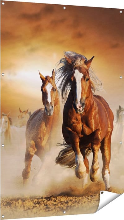 Gards Tuinposter Wilde Paarden in het Zand - 100x150 cm - Tuindoek - Tuindecoratie - Wanddecoratie buiten - Tuinschilderij