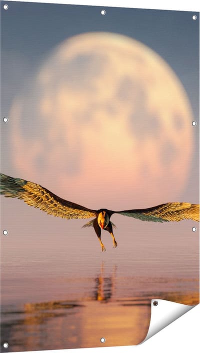 Gards Tuinposter Adelaar boven het Water bij de Maan - 80x120 cm - Tuindoek - Tuindecoratie - Wanddecoratie buiten - Tuinschilderij