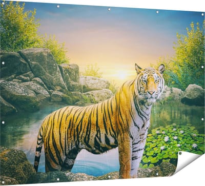 Gards Tuinposter Luipaard in een Vijver bij Zonsondergang - 160x120 cm - Tuindoek - Tuindecoratie - Wanddecoratie buiten - Tuinschilderij