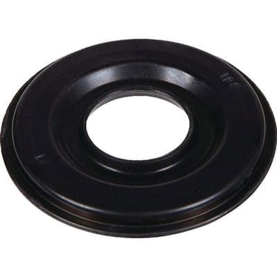 Briggs & stratton ring