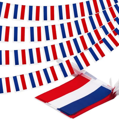 Daity Miniatuur Nederlandse vlaggetjes - nationale versieringen - geschikt voor scholen - feesten - sportevenementen - patriottische feestdagen - 10 meter lang - 30 vlaggetjes.