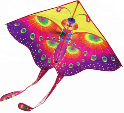 Vlieger L - Stuntvlieger - 110 x 205cm - Vlinder vlieger - butter fly Kite - 30 meter line - 30 meter lijn ophagel