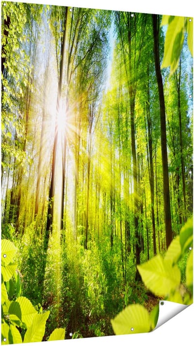 Gards Tuinposter Weg Omringd met Bomen in het Bos - 120x180 cm - Tuindoek - Tuindecoratie - Wanddecoratie buiten - Tuinschilderij