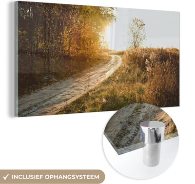 MuchoWow® Glasschilderij 40x20 cm - Schilderij acrylglas - Pad - Natuur - Boom - Foto op glas - Schilderijen