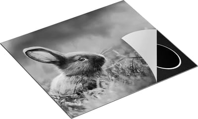 Chefcare Inductie Beschermer Konijn in het Gras - Zwart Wit - 60x50 cm - Afdekplaat Inductie - Kookplaat Beschermer - Inductie Mat
