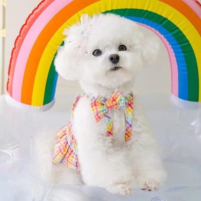 Vêtements d'été pour chiots, motif papillon, nœud à carreaux, jupe à bretelles, gilet plissé, vêtements en peluche, vêtements pour animaux de compagnie, gilet rafraîchissant pour chien XL