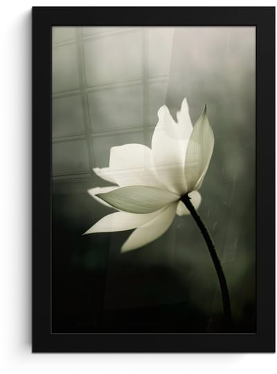 Poster in lijst - Fotolijst 20x30 cm - Posters - Wit - Lotus - Donker - Bloem - Posterlijst zwart - Decoratie - Wanddecoratie woonkamer - Muurdecoratie slaapkamer