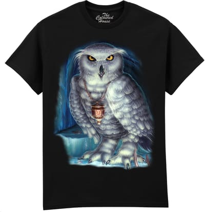 Tovenaar Wizards Messenger The Coloured House T-shirt M