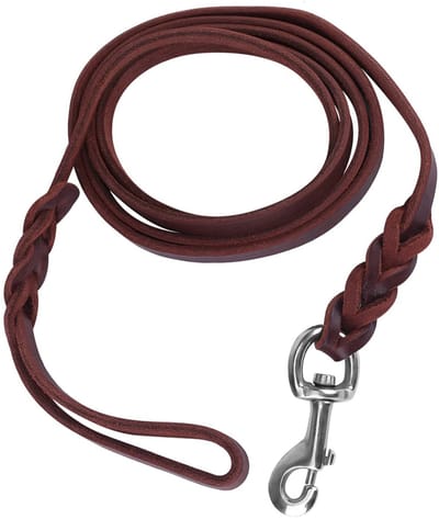 Dailygoods- Hondenriem Sterk - Hondenriem 2,1 meter - Comfortabel Gevoerd Handvat - Hondenhalsband Bevestiging - Duurzaam Leer - Geschikt voor Middelgrote Honden - Hondentuig