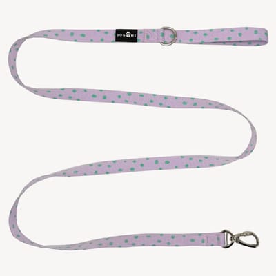 Polkadot - Hondenriem - S- 2 cm breed - 2 m / 2 meter / 200 cm lang- Leiband hond