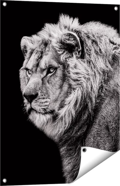Gards Tuinposter Leeuw - Zwart Wit - 60x80 cm - Tuindoek - Tuindecoratie - Wanddecoratie buiten - Tuinschilderij