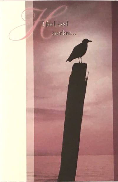 Luxe Wenskaart Deelneming - Condoleance - Overlijden - Sterkte - Oprechte Deelneming - Art of Cards - 11,5x17cm - Dubbele Kaart - Met Envelop - Luxe Wens Kaart - Greeting Card - 1 Stuks - In Folie Verpakt - Angel 45 - Vogel - Gratis Verzonden