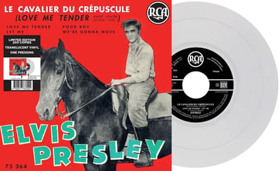 Le Cavalier Du Crépuscule