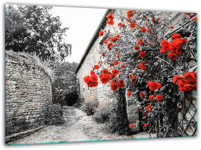 TMK ArtDeko Serie - Getemperde Glazen Snijplank - 30x22 cm - Hitte- en Krasbestendig