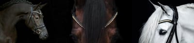 QHP Hoofdstel Era Bruin - Cob