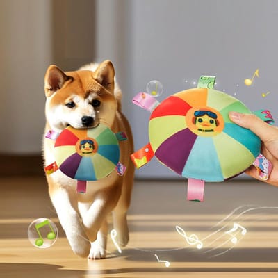 Daity Verpakking van 4 - Frisdrank-speelgoed voor huisdieren - interactief trainings- en kauwspeelgoed voor buiten - geweldig om de aandacht van uw hond te trekken - geschikt voor honden van alle rassen en met verschillende kauwvoorkeuren.