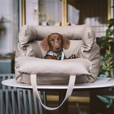 Daity Een reistas voor huisdieren in de auto, draagbare dierenvervoerder, hondenbench voor in de auto, afneembaar en wasbaar, geschikt voor huisdieren met een gewicht tot 15 kg, afmetingen 50*45*40 cm (grijs).