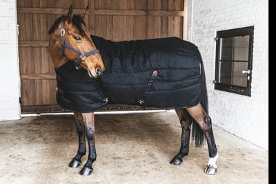 Kentucky Horsewear - Kentucky Horsewear Staldeken Classic 300gr Zwart - 130/183