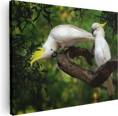 Artaza Canvas Schilderij Vogels Op Tak - 40x30 cm - Klein - Muurdecoratie Kaketoe - Wanddecoratie Dieren - Kamer Accessoires