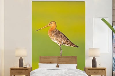 Behang - Fotobehang Vogel - Dieren - Grutto - Paal - Groen - Breedte 170 cm x hoogte 260 cm