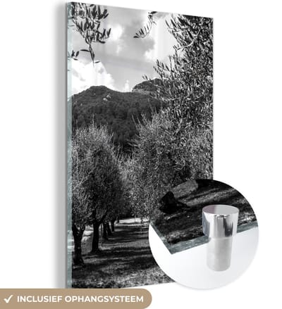 MuchoWow® Glasschilderij 40x60 cm - Schilderij acrylglas - Een laan van Italiaanse olijfbomen - zwart wit - Foto op glas - Schilderijen