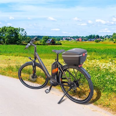 Luxe Fietsmand - Fietsmandje - Bicycle Basket - Duurzaam - Weerbestendig