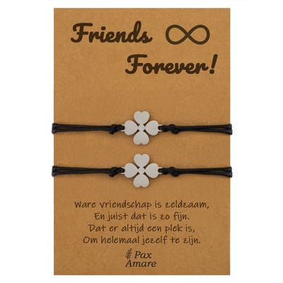 Vriendschapsarmbandjes voor 2 " Friends Forever ∞" - Klavertje Vier - BFF Armbandjes met Persoonlijk Cadeau Kaartje - Zilverkleurig - Elastisch Verstelbaar - Pax Amare