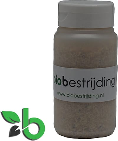 Bestrijding van spint met phytoseiulus persimilis - 1000 stuks - roofmijt tegen spint