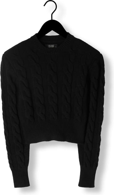 Ibana Tamra Truien & vesten Dames - Sweater - Hoodie - Vest- Zwart - Maat 38