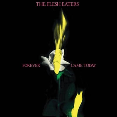 The Flesh Eaters - Forever Came Today (LP) (Reissue)