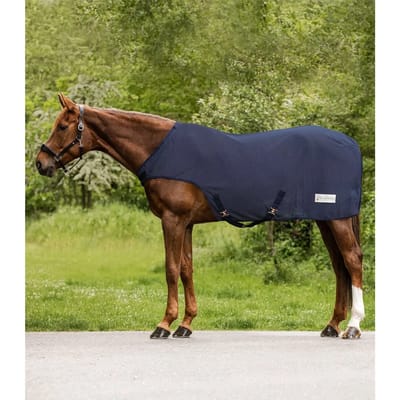 Vliegendeken voor paard voor de bak Waldhausen Comfort