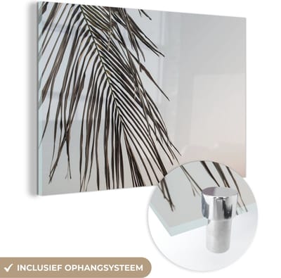 MuchoWow® Glasschilderij 150x100 cm - Schilderij acrylglas - Bladeren - Zomer - Palmblad - Tropisch - Foto op glas - Schilderijen