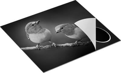 Chefcare Inductie Beschermer Twee Groen Gele Zangvogels op een Tak - Zwart Wit - 60x50 cm - Afdekplaat Inductie - Kookplaat Beschermer - Inductie Mat