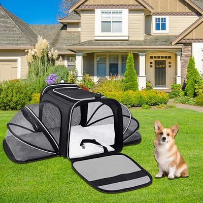 Reismand Kat - Draagbare Tas - Comfortabel Reizen - Uitklapbaar Ontwerp - 44 cm - Zwart