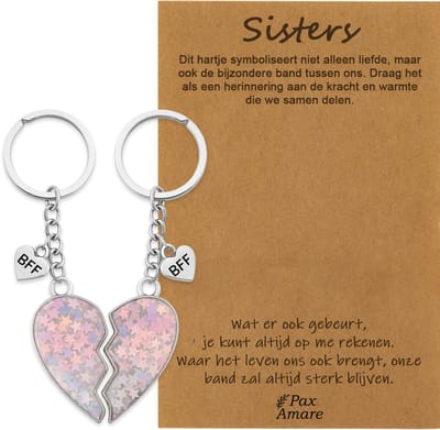 BFF Sleutelhanger voor 2 'Sisters' - Magnetisch Hartje - Sleutelhangers op Cadeau Kaartje - Zilverkleurig - Vriendschap Symbool - Pax Amare