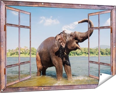 Gards Tuinposter Doorkijk Vrolijke Olifant in het Water - 150x100 cm - Tuindoek - Tuindecoratie - Wanddecoratie buiten - Tuinschilderij