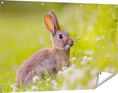 Gards Tuinposter Konijn tussen de Witte Bloemen - 120x80 cm - Tuindoek - Tuindecoratie - Wanddecoratie buiten - Tuinschilderij