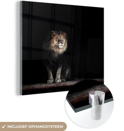 MuchoWow® Glasschilderij 50x50 cm - Schilderij acrylglas - Leeuw - Licht - Portret - Foto op glas - Schilderijen