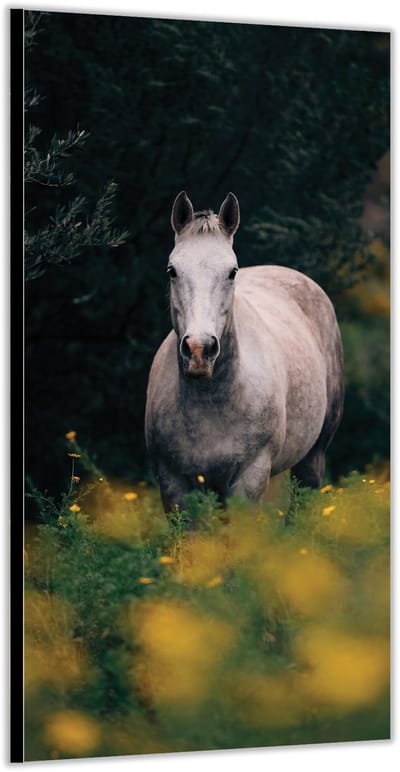 KuijsFotoprint - Schilderij - Grijs Paard/schimmel - Groen, Geel En Grijs - 200 X 100 Cm