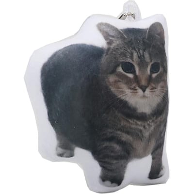 10cm Schattige Cartoon Simulatie Oiiai Kat Sleutelhanger Lelijke En Schattige Kat Pluche Sleutelhanger Cartoon Kittens Poppen Tas Hanger Verjaardagscadeaus 10cm wit