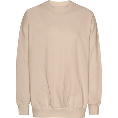 Oversized sweatshirt Tiger