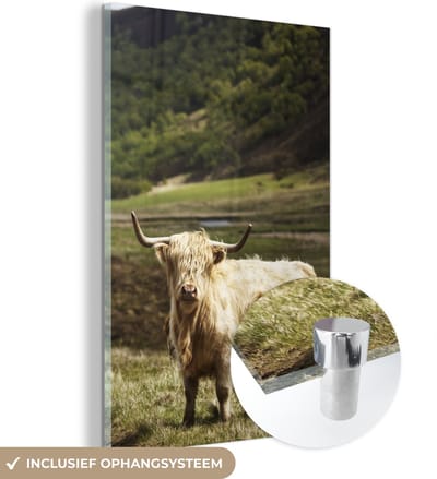 MuchoWow® Glasschilderij 120x180 cm - Schilderij acrylglas - Schotse Hooglander - Pad - Bos - Foto op glas - Schilderijen